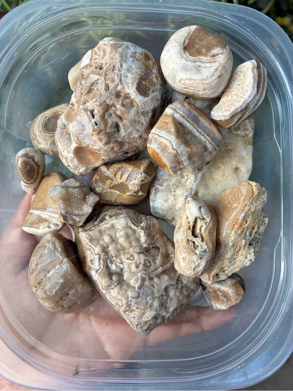 1.4 lbs of Naturally Sea Tumbled rocks #stones #minerals